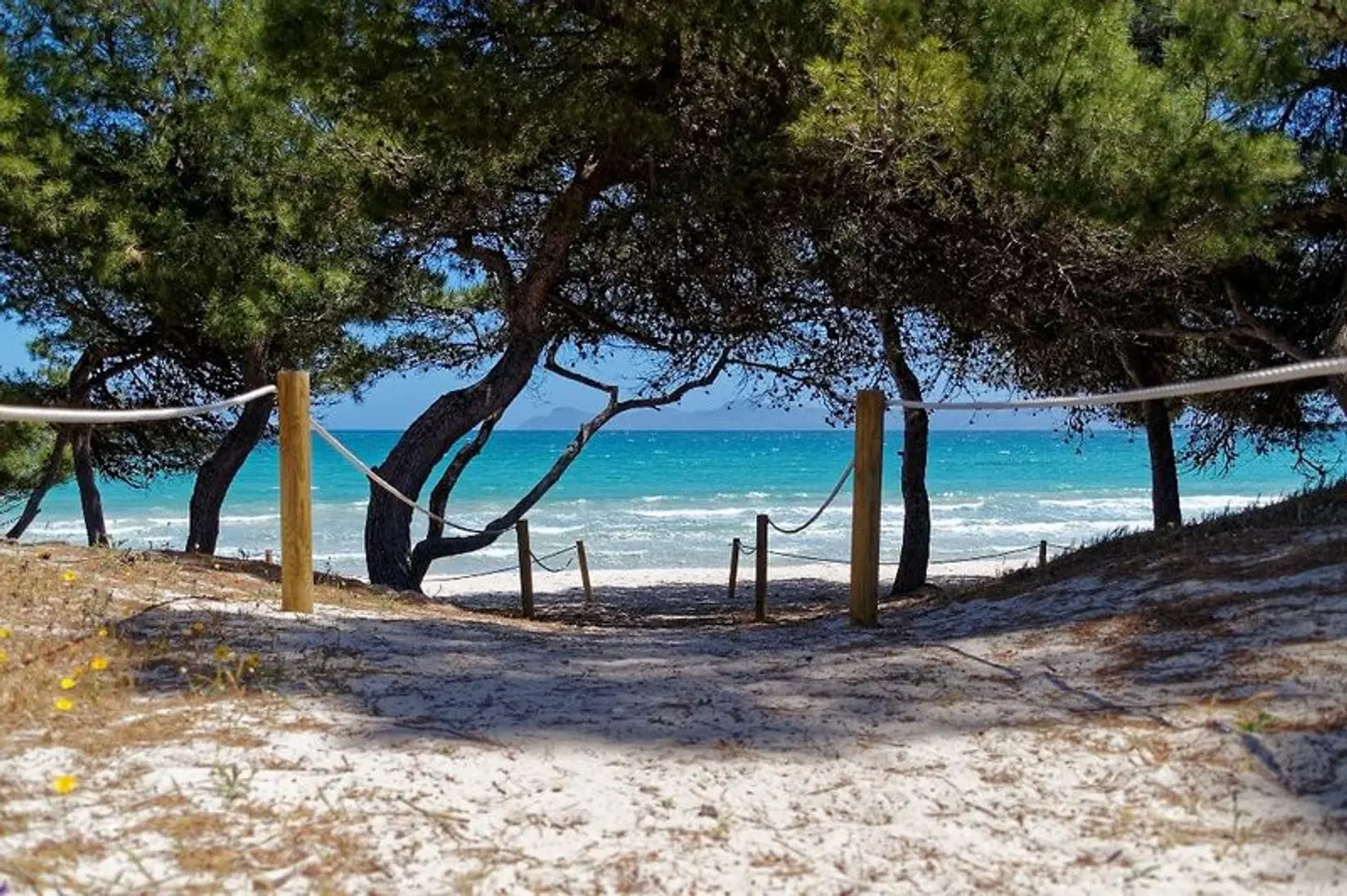Alcudia Boutique Apartments Strand