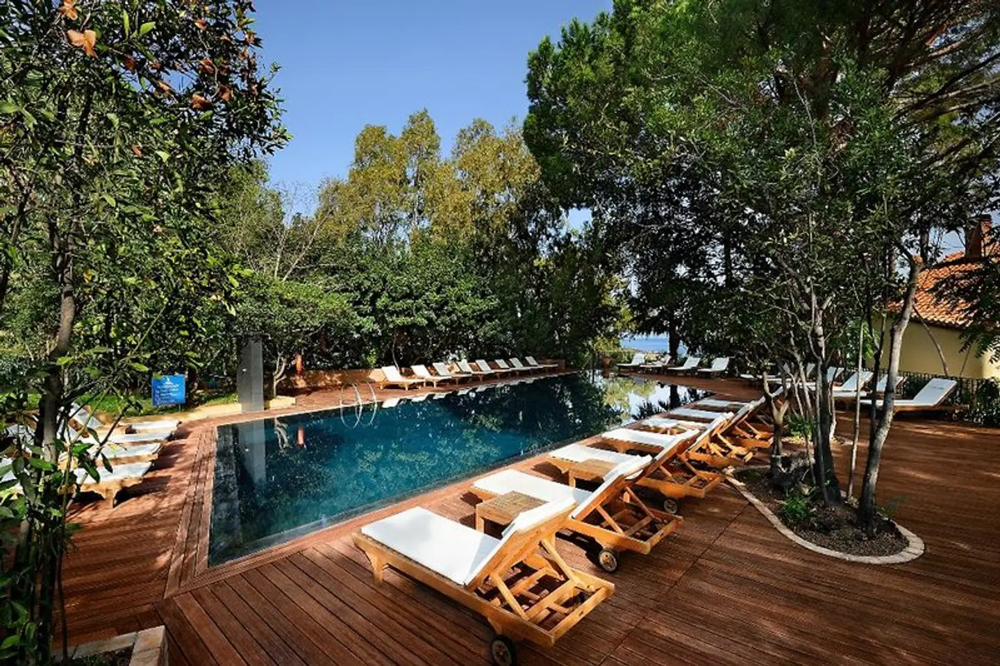 Alberi Del Paradiso Terrasse
