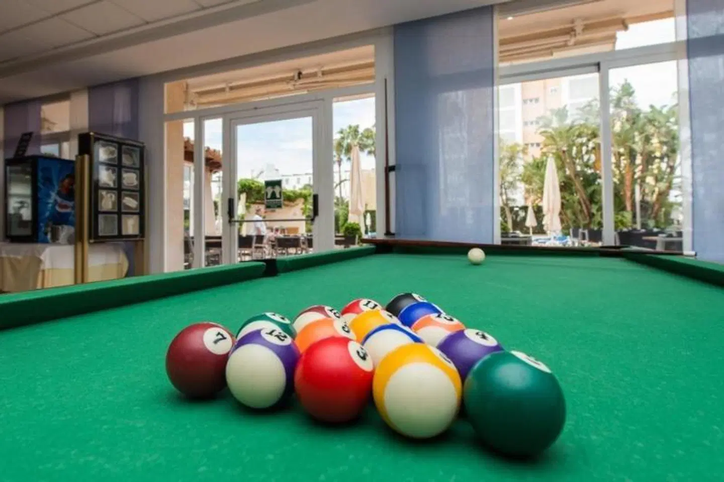 Oleander SPORTS_AND_LEISURE