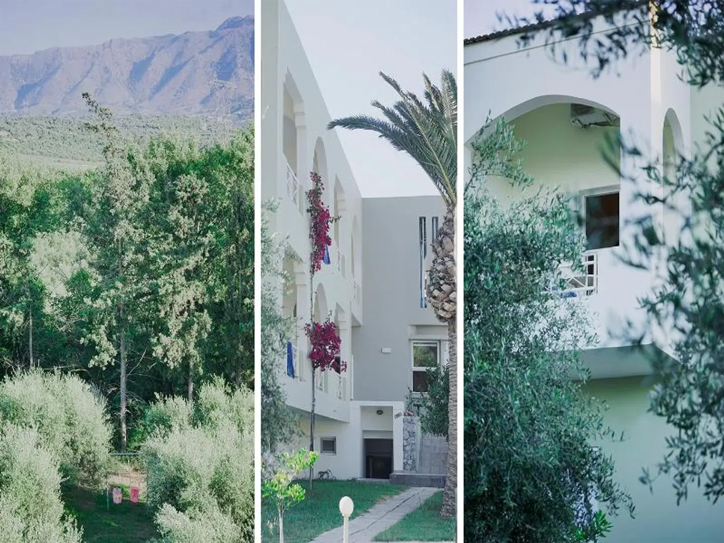 Vardis Olive Garden EXTERIOR