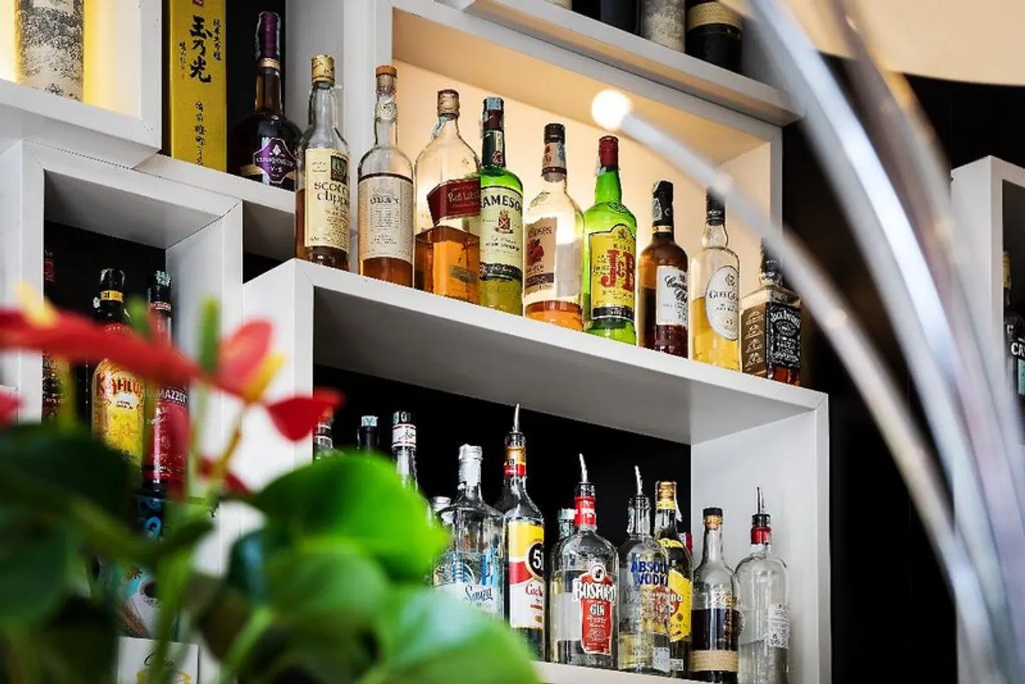 Dharma Luxury Hotel Bar