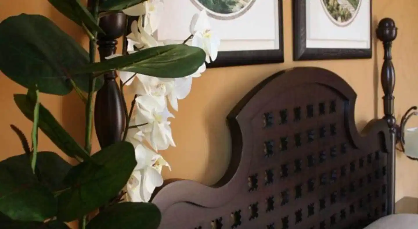 dei Coloniali Wellness