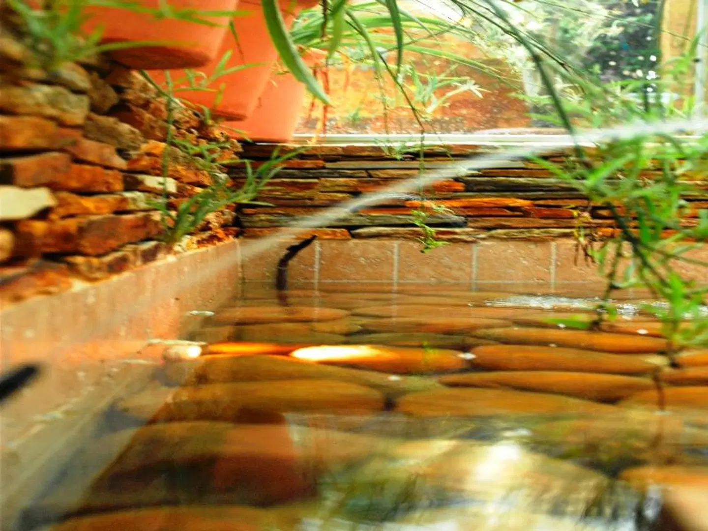 htop Palm Beach & SPA LOUNGE_LOBBY