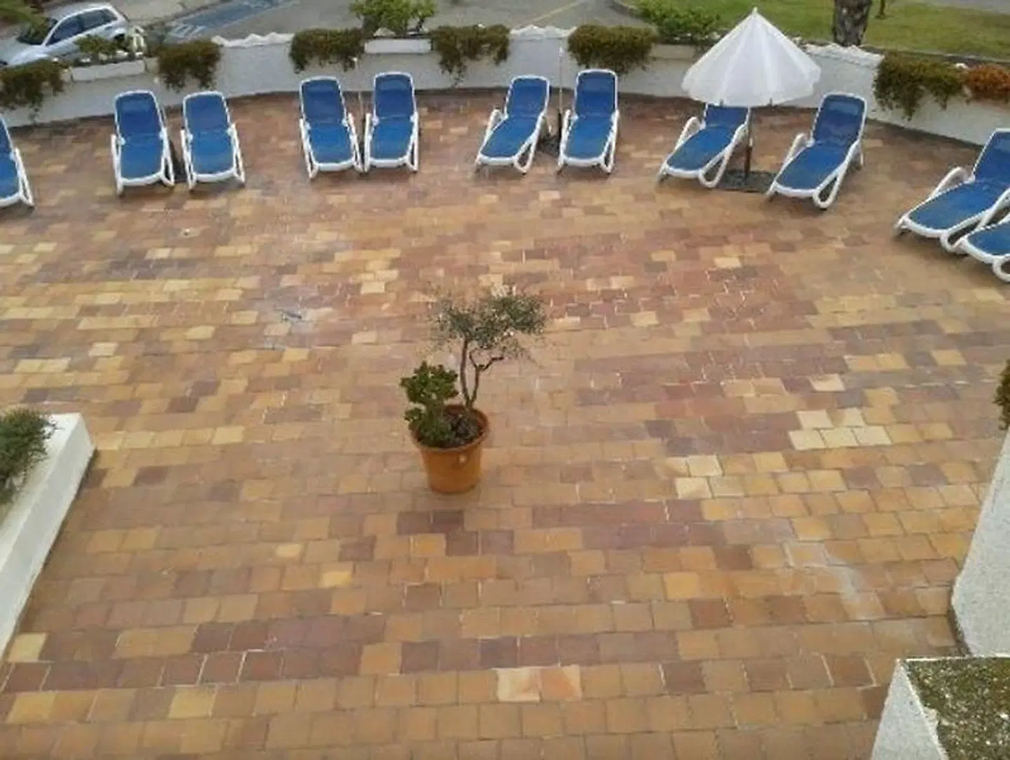 Stil Bonsai Strand