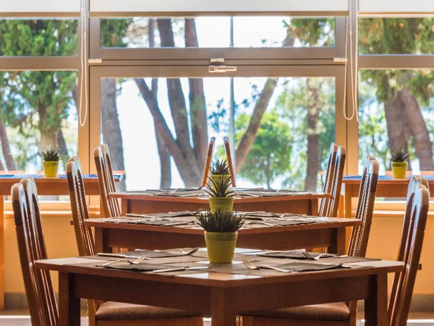 Apartments Katoro for Plava Laguna Restaurant
