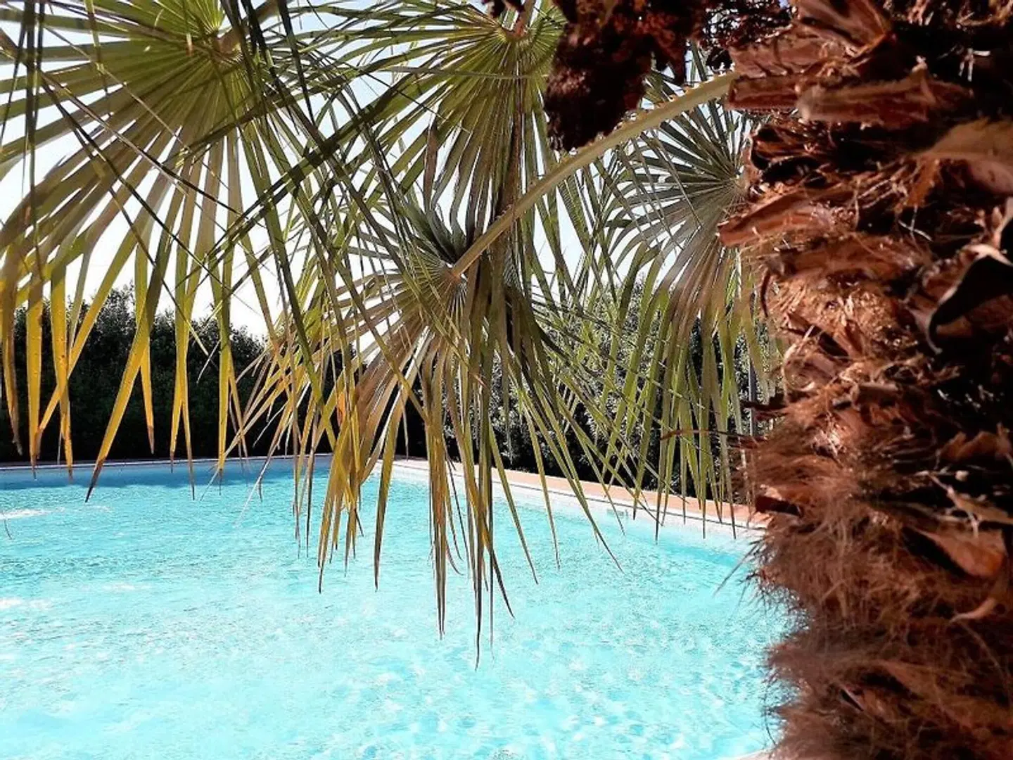 Villa Curina Resort OUTDOOR_POOL