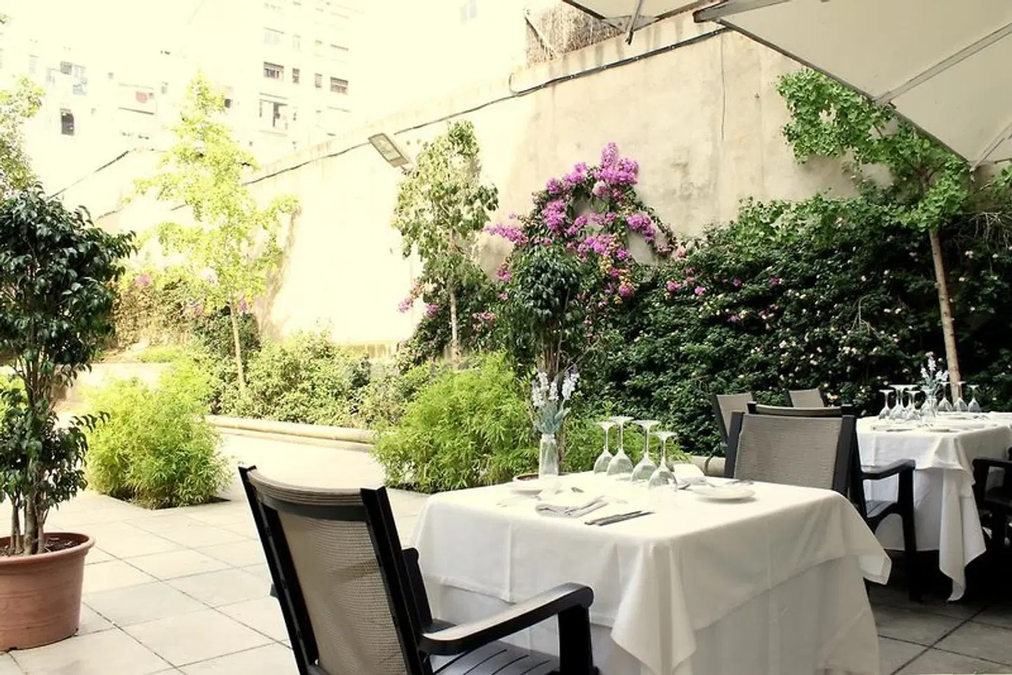 Evenia Rossello Terrasse