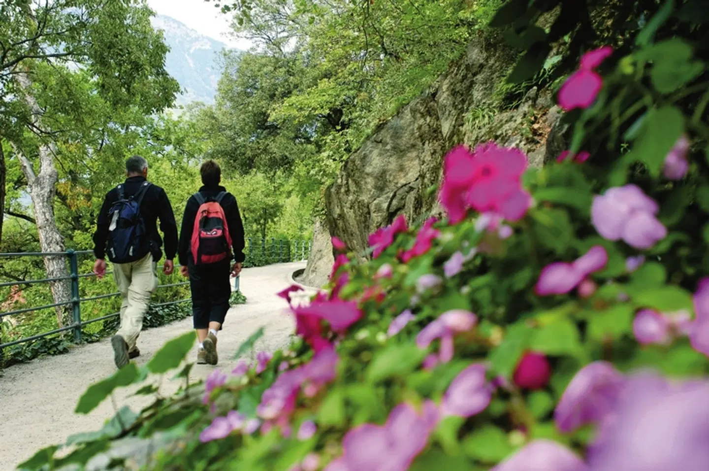 Alpenüberquerung Oberstdorf - Meran mit Hotelkomfort Garten