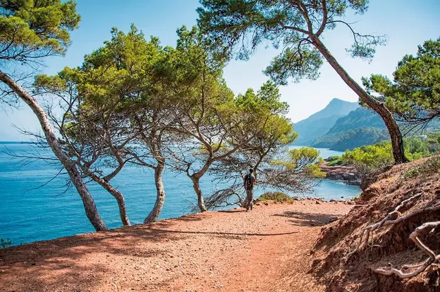 Mallorca gemütlich erwandern LANDSCAPE