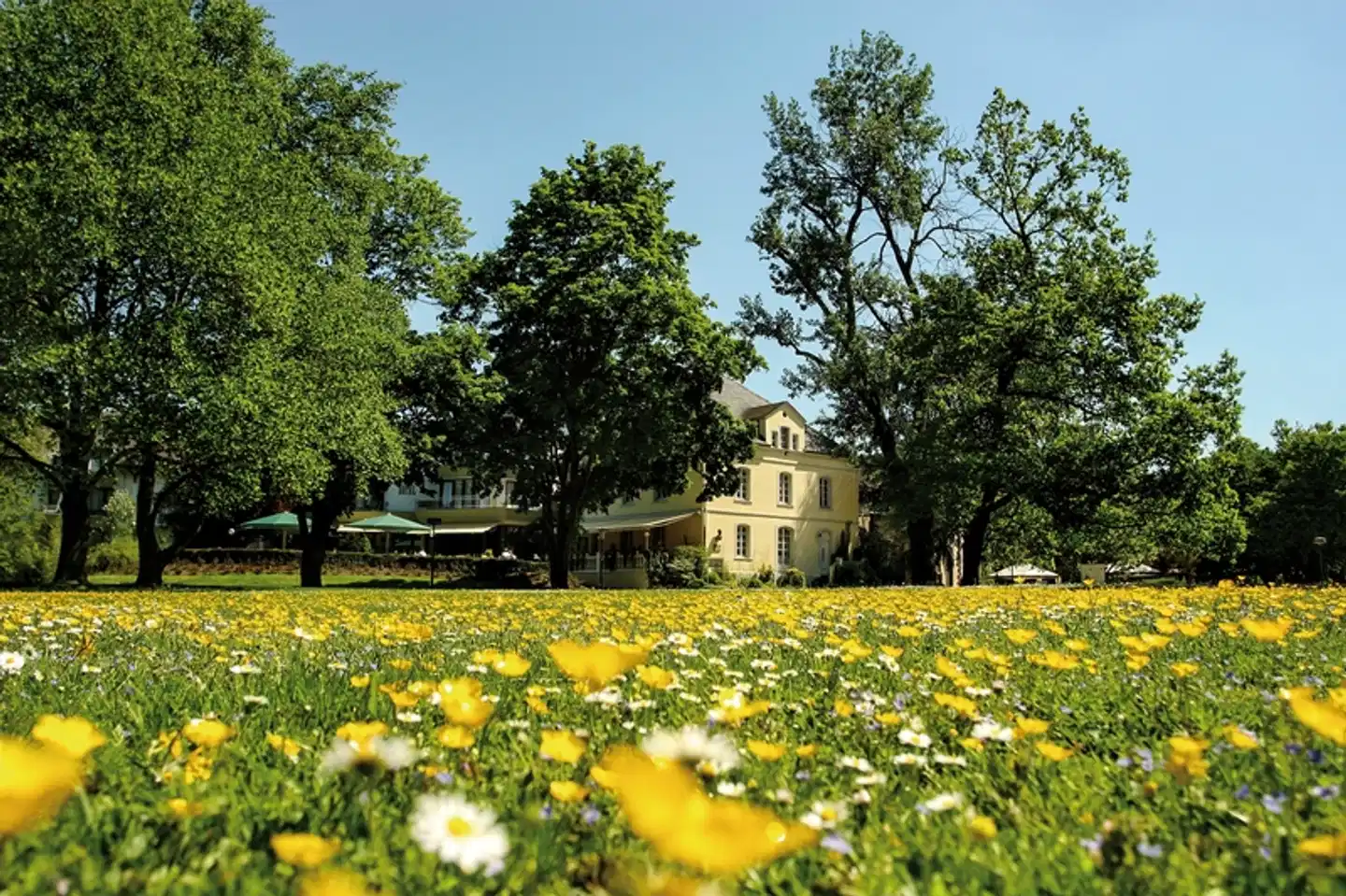 Nells Park Hotel Trier Garten