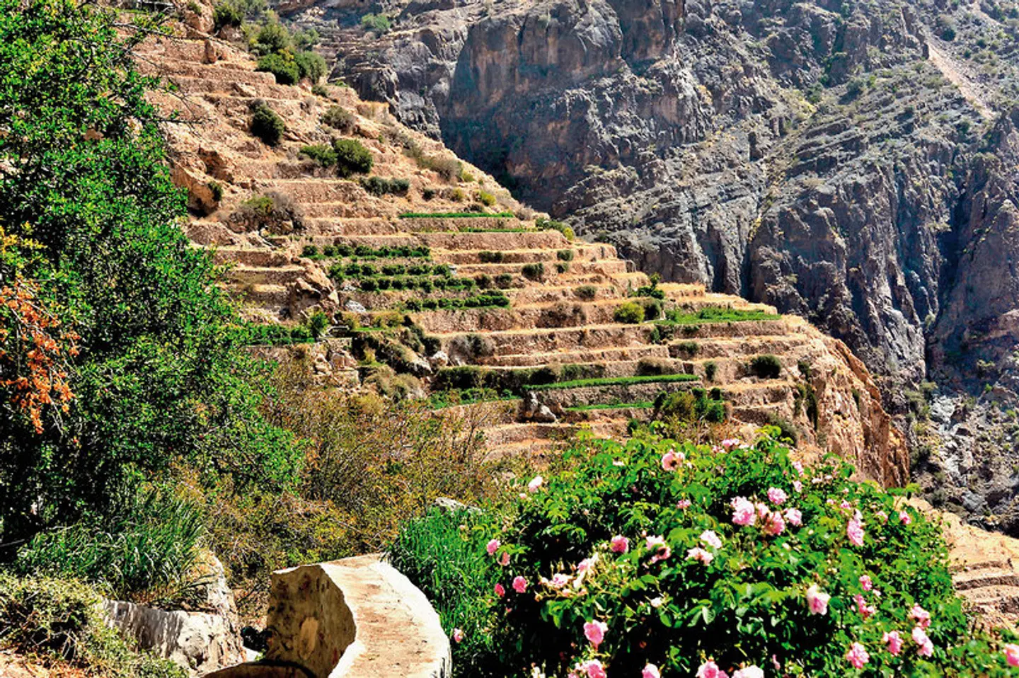 Das Königreich Oman zu Fuß entdecken LANDSCAPE