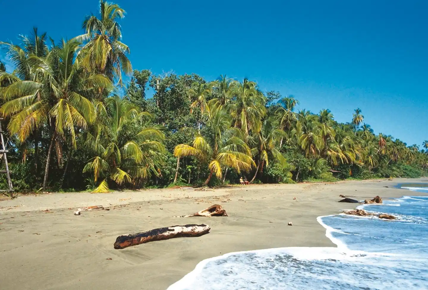 Abenteuer zwischen Vulkan und Regenwald Strand