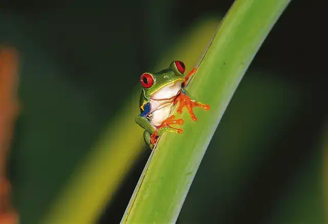 Abenteuer zwischen Vulkan und Regenwald (letzte Nacht in San José) Sport und Entertainment