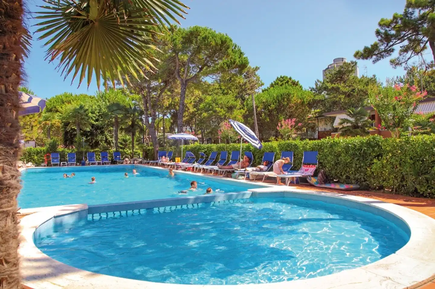 Medusa Splendid Pool
