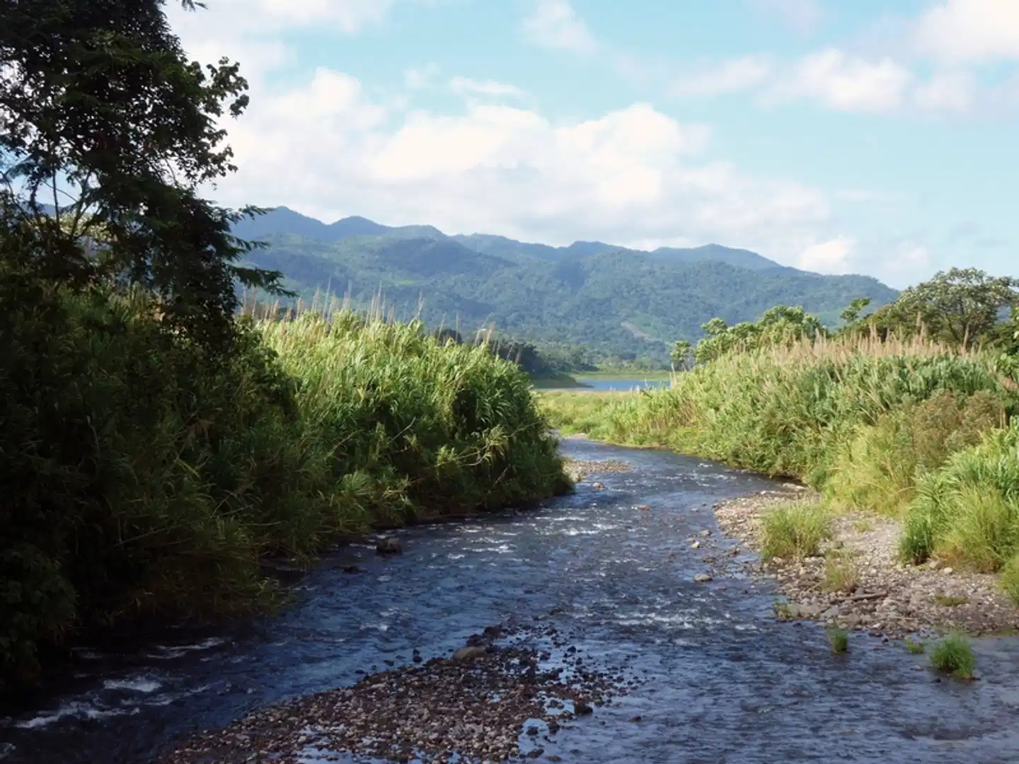 Karibik- und Dschungeltour Landschaft