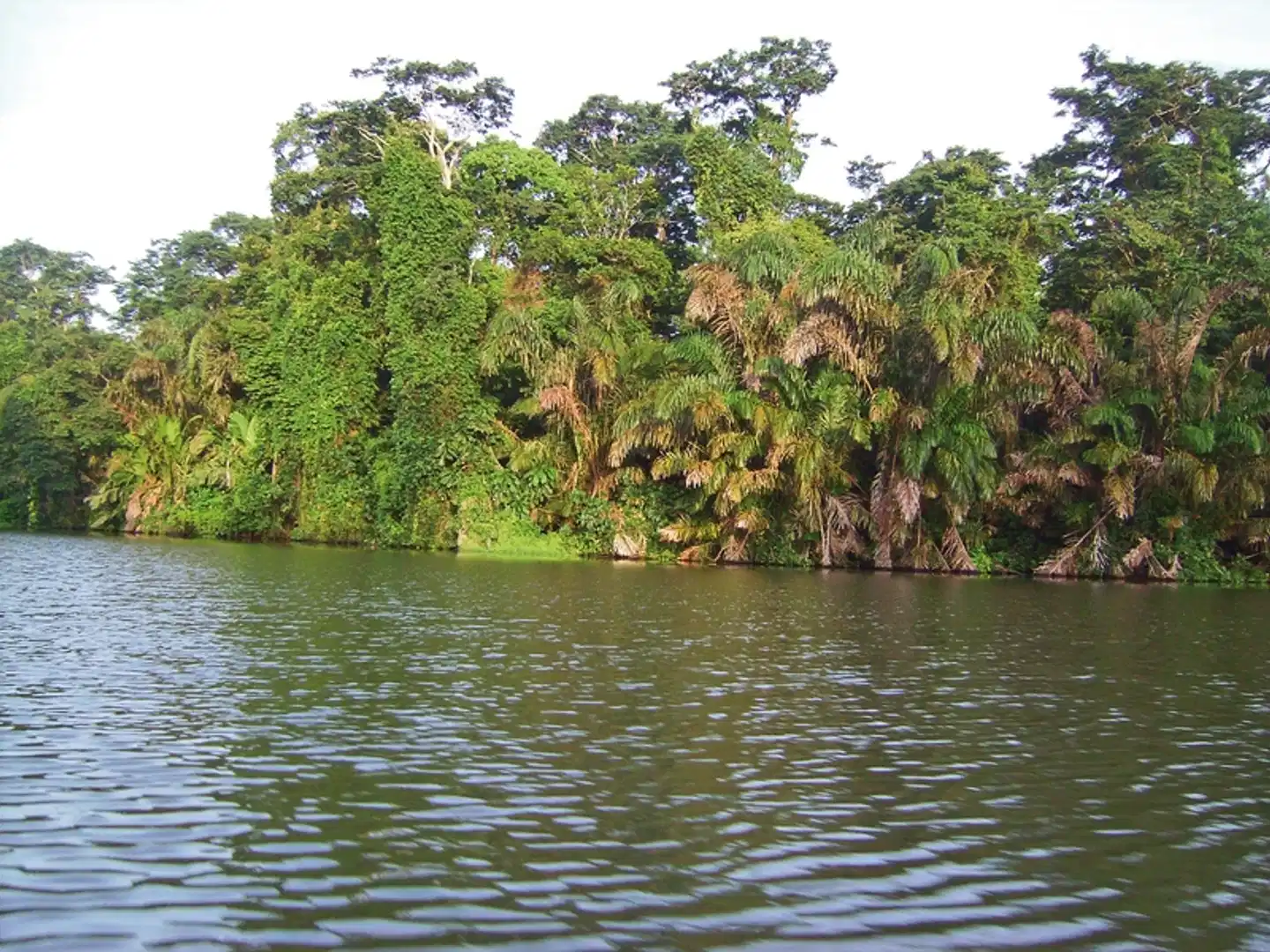 Karibik- und Dschungeltour Landschaft