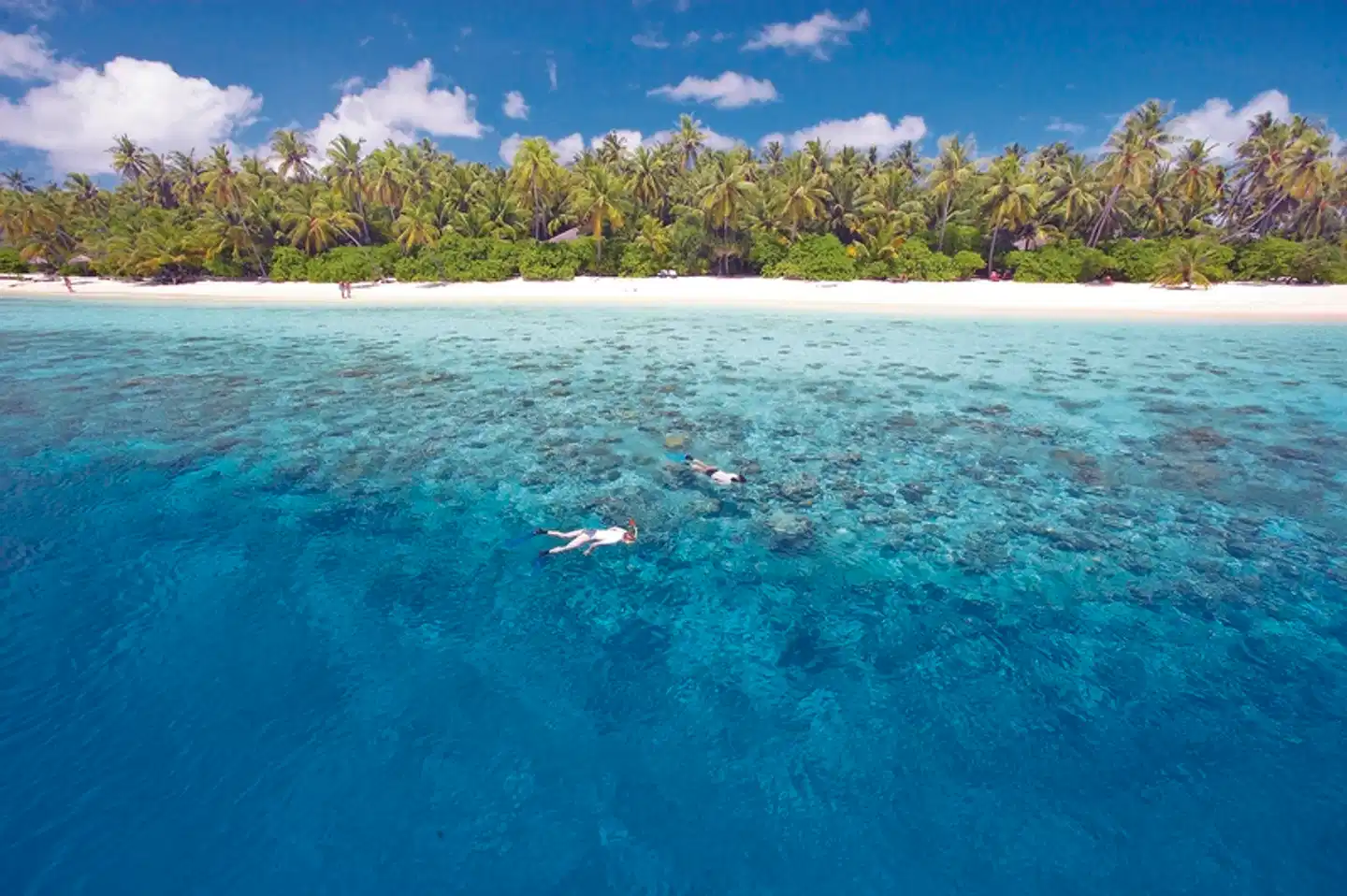 Filitheyo Island Resort Landschaft