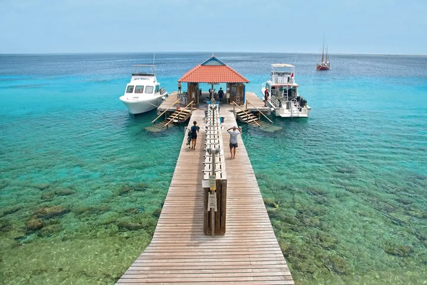 Divi Flamingo Beach Resort & Casino LANDSCAPE