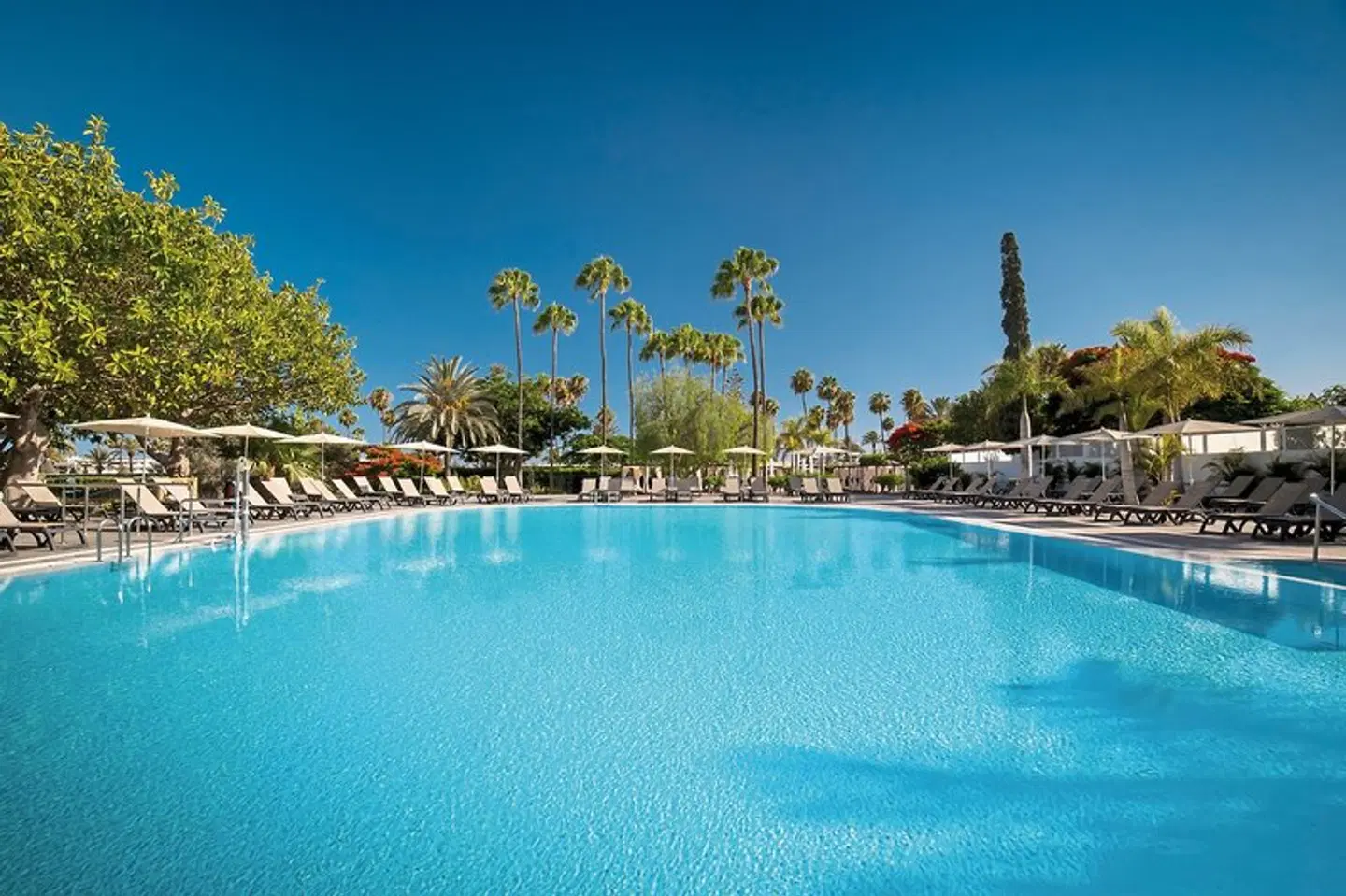 Barceló Margaritas ROYAL LEVEL OUTDOOR_POOL