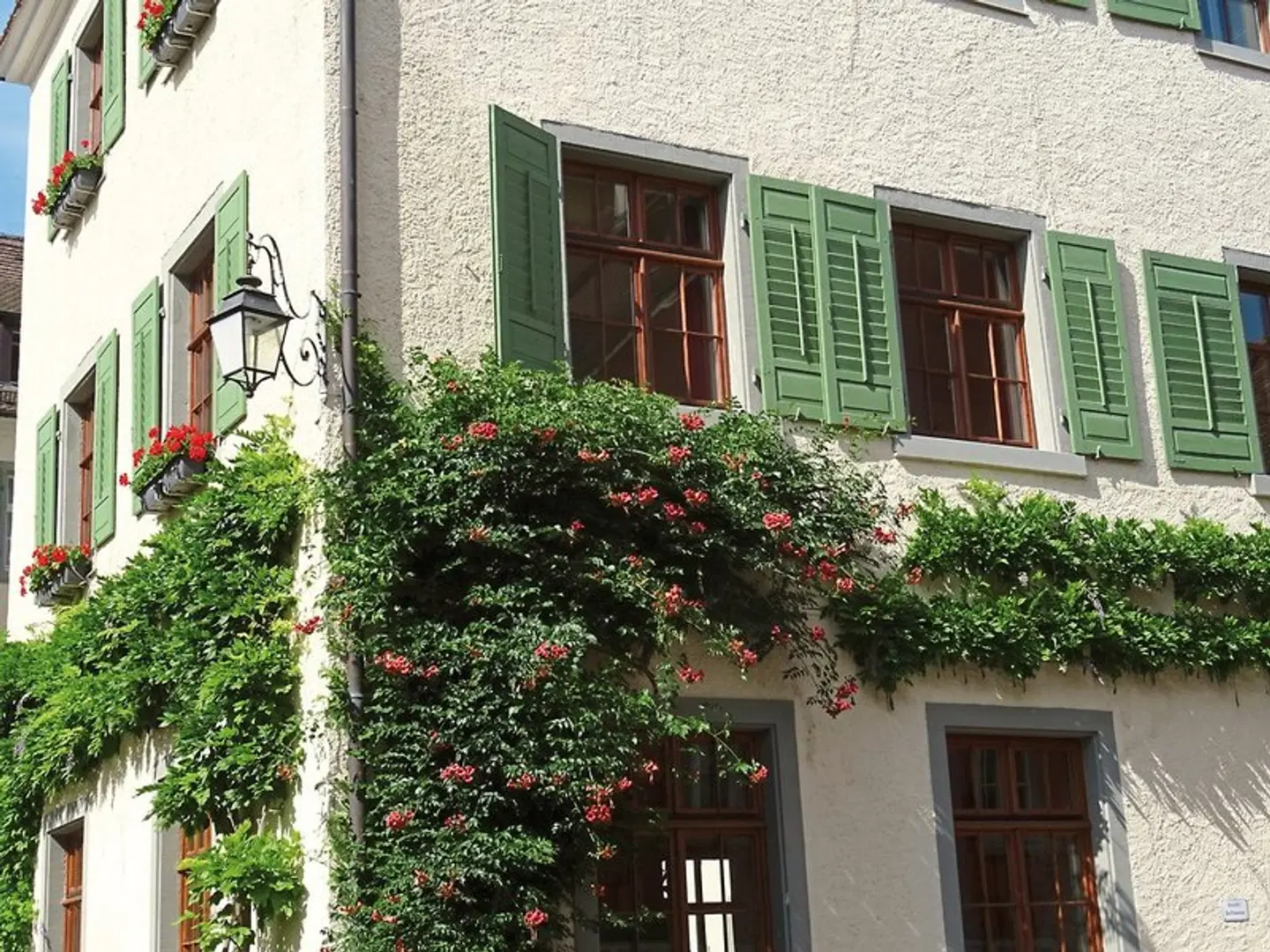 JUFA Hotel Meersburg EXTERIOR