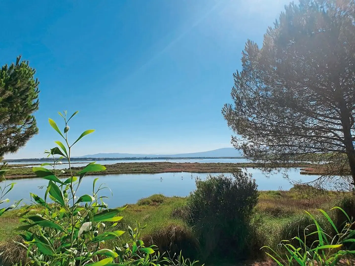 Camping S'Ena Arrubia (by Happy Camp) LANDSCAPE