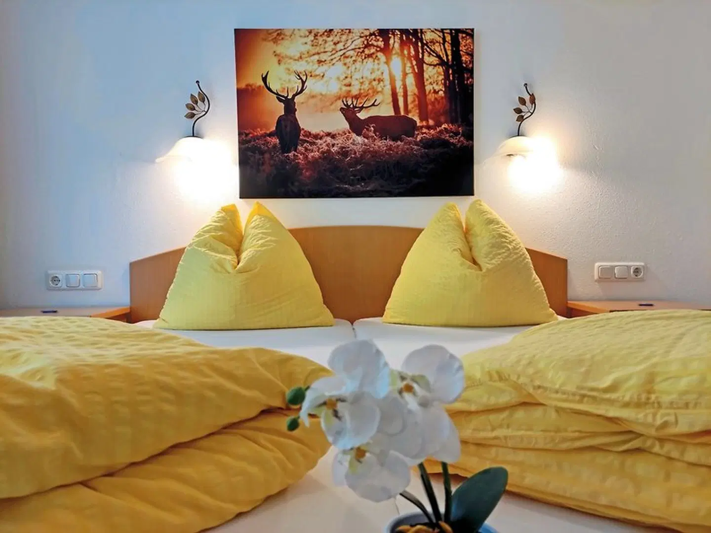 Hotel Wasserfall ROOM_EXAMPLE