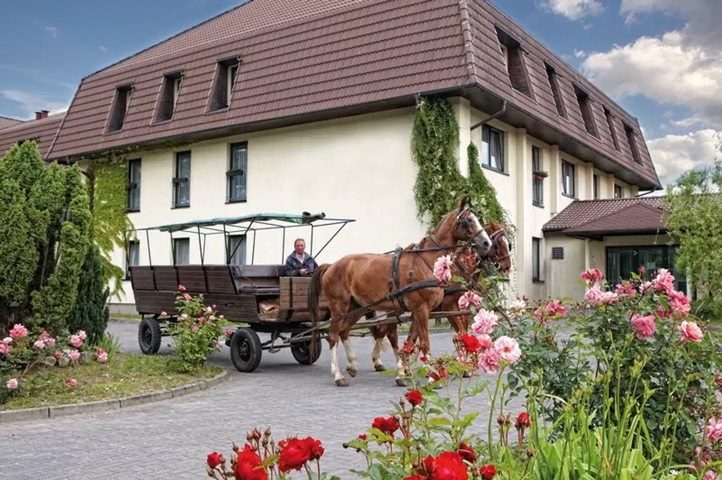 Sonnenhotel Feldberg am See Tiere