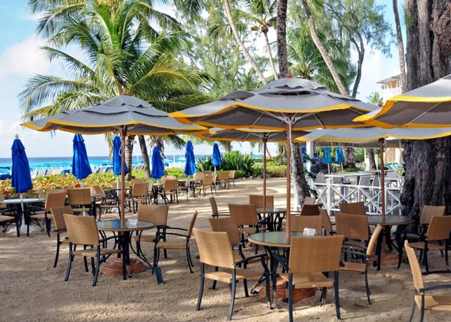 Turtle Beach, a Tribute Portfolio All-Inclusive Hotel Restaurant