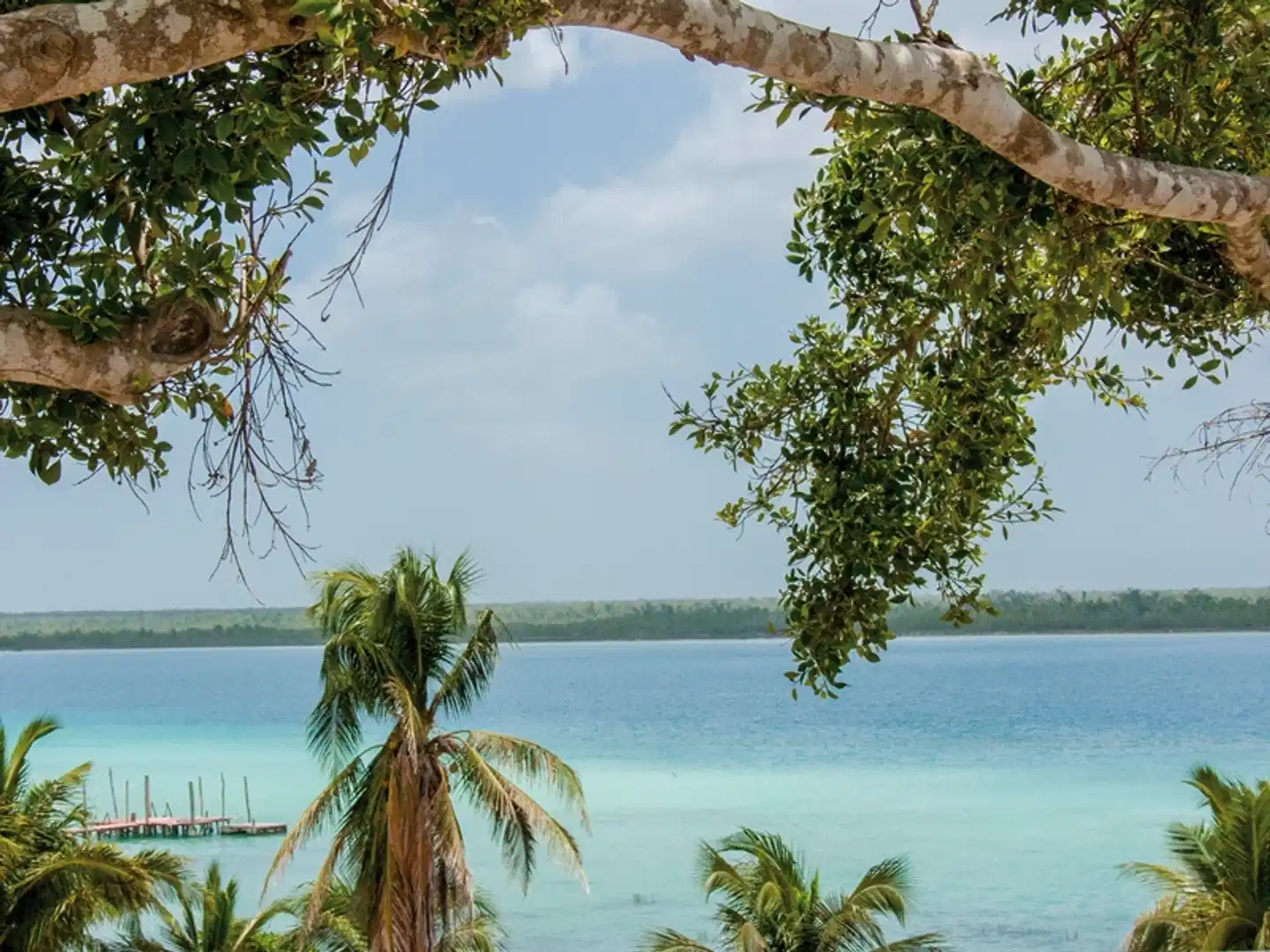 Roadtrip Yucatan: Tempel, Tropen und Cenoten Pool