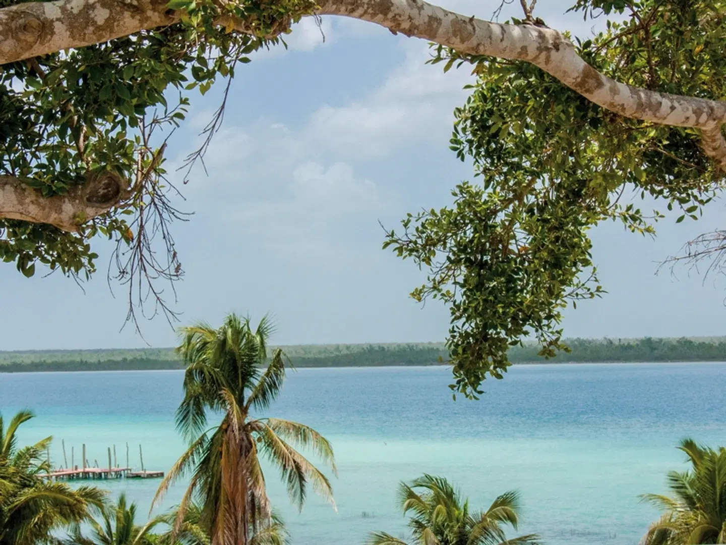 Roadtrip Yucatan: Tempel, Tropen und Cenoten OUTDOOR_POOL