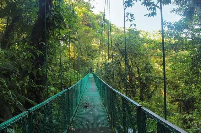 Geheimnisvolles Costa Rica: Nebelwald und Rote Aras LANDSCAPE