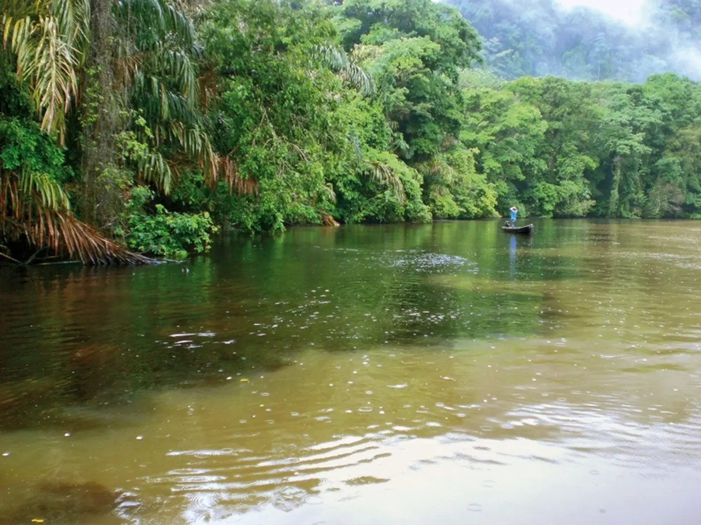 Geheimnisvolles Costa Rica: Vulkane und Regenwald LANDSCAPE