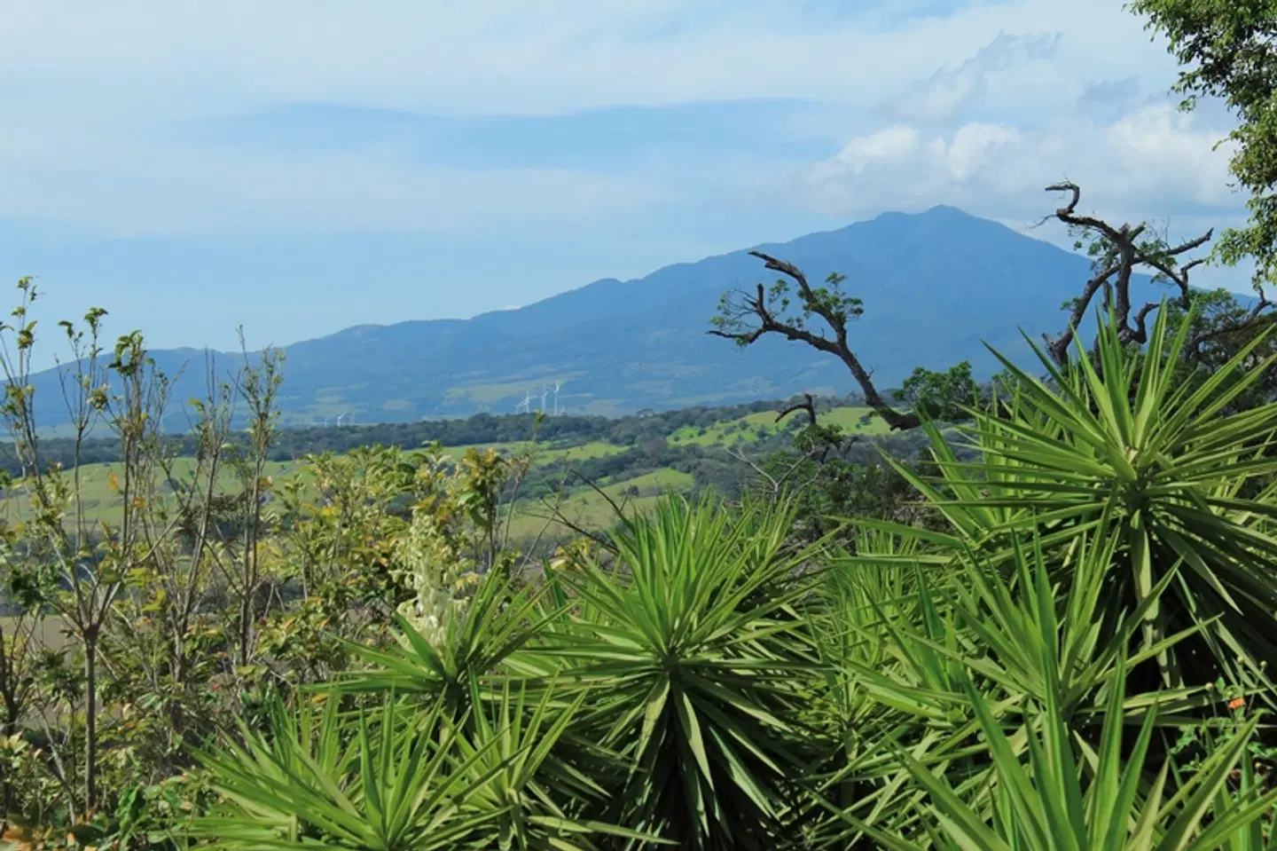 Traumstrände im Land der Ticos LANDSCAPE