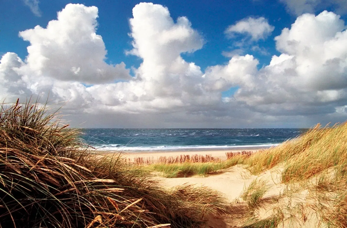 TOP CountryLine Hotel Roth am Strande Strand