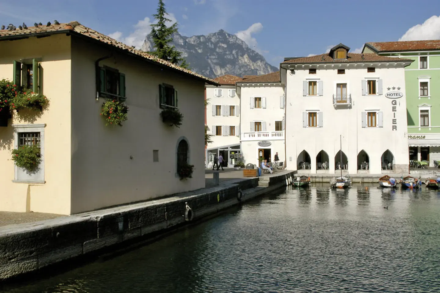 Geier EXTERIOR