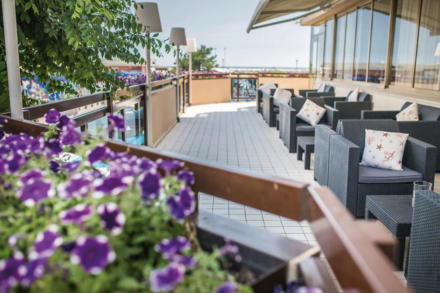 Palace Terrasse
