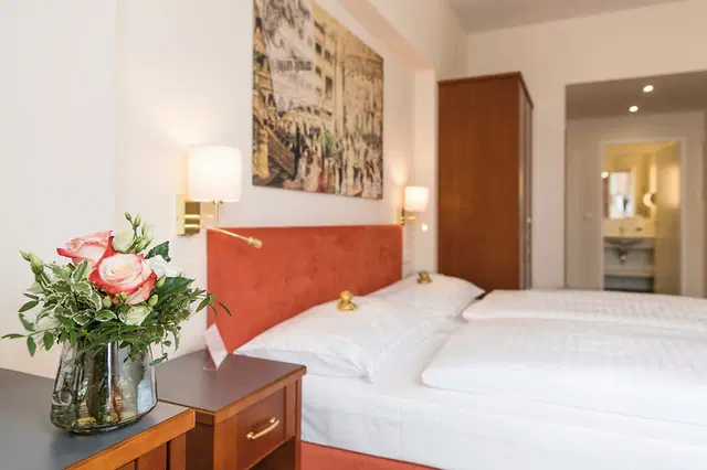 Hotel Johann Strauss ROOM_EXAMPLE