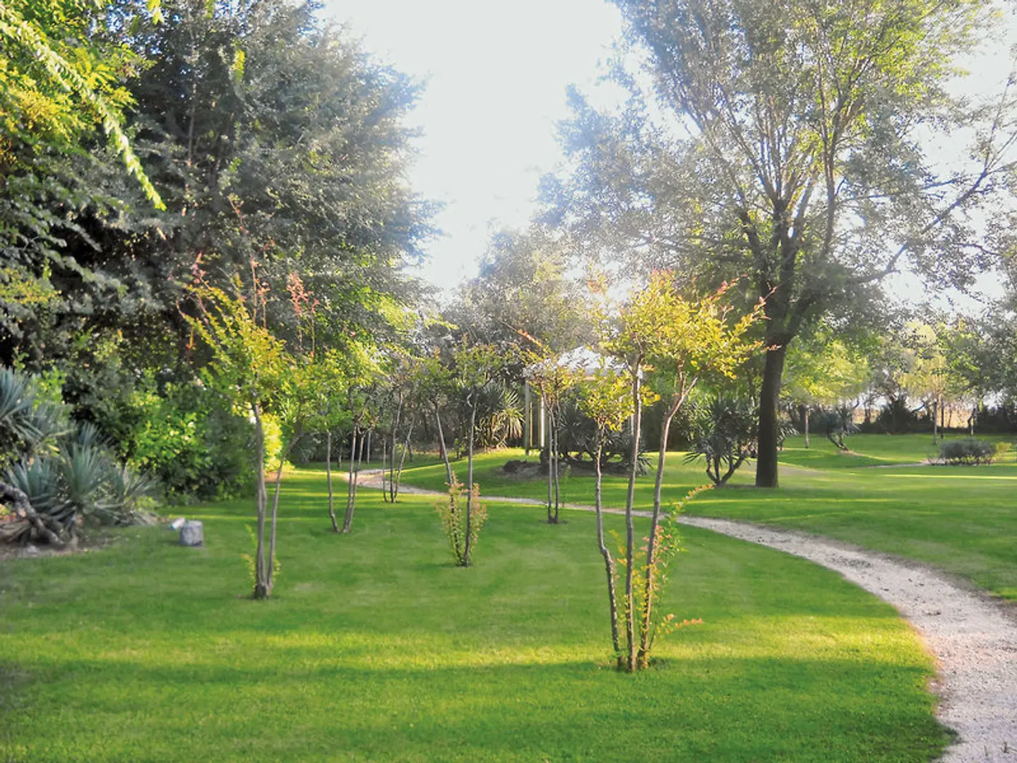 Camping Ca' Savio (by Happy Camp) Garten
