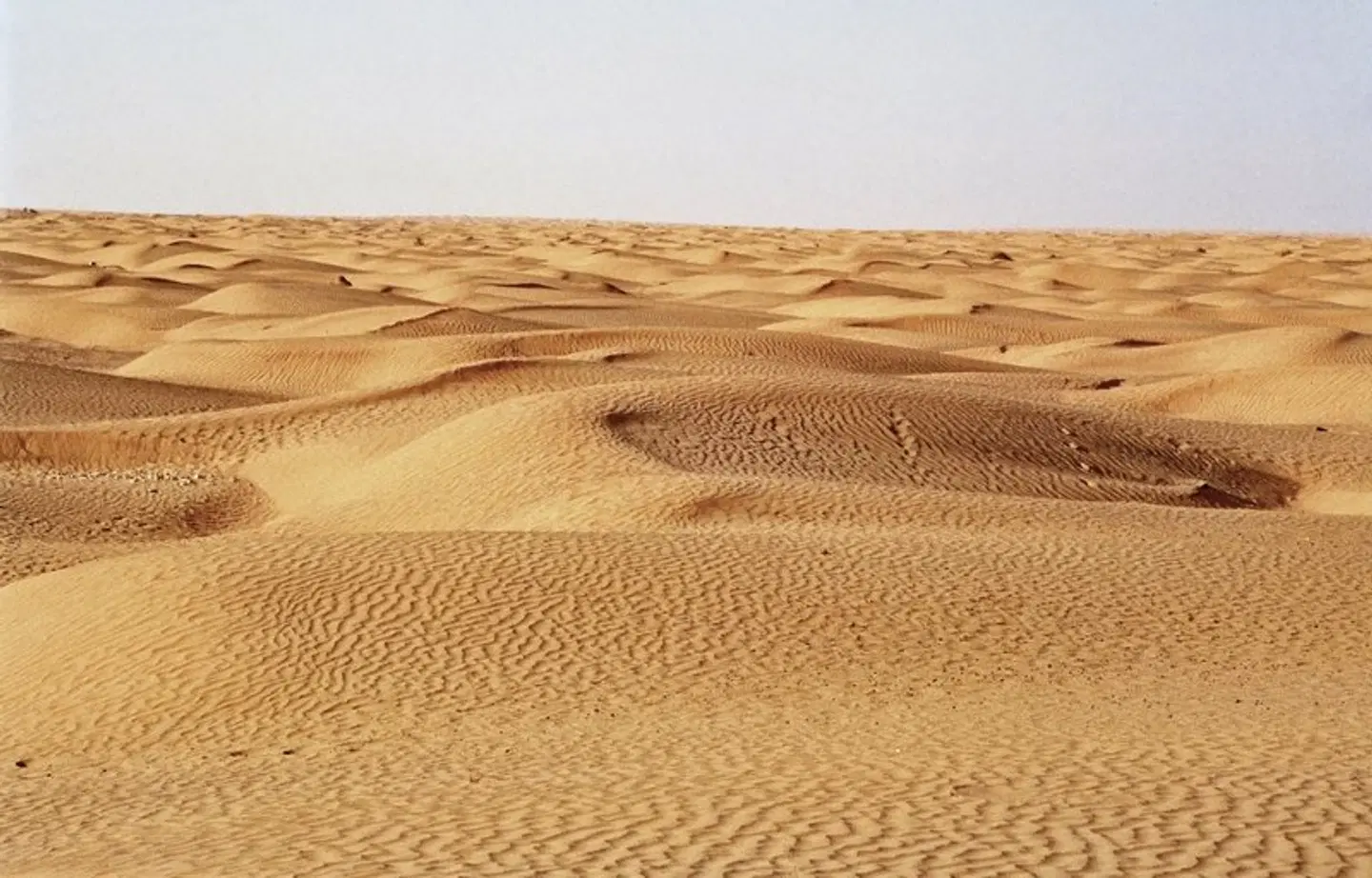 Kulturschätze und Wüstensonne - Tunesiens Paradies LANDSCAPE