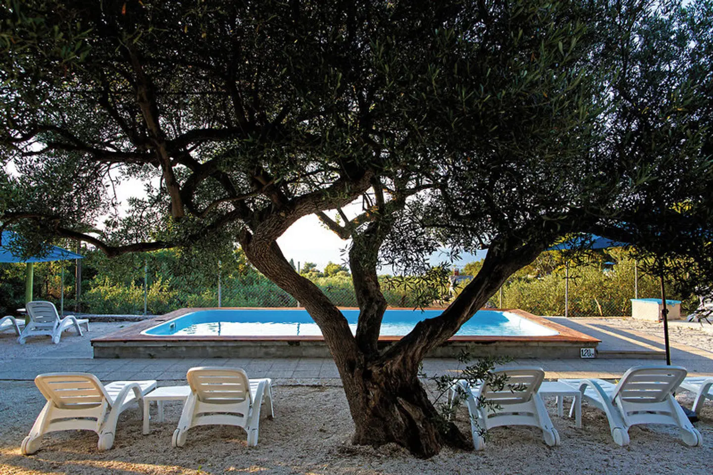 Watermann Beach Village Camp & Glamping Garten