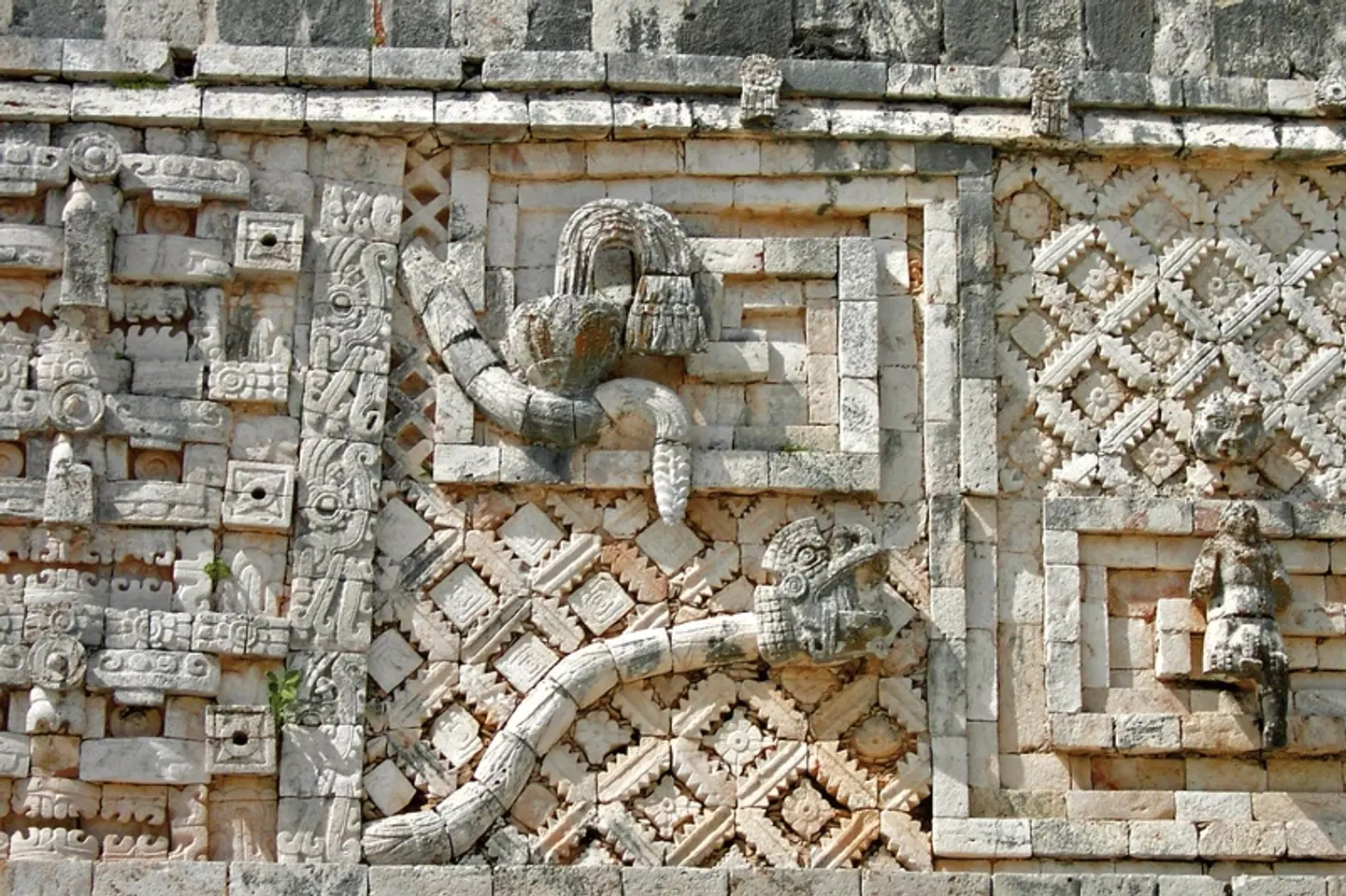 Yucatán Rundreise Tiere