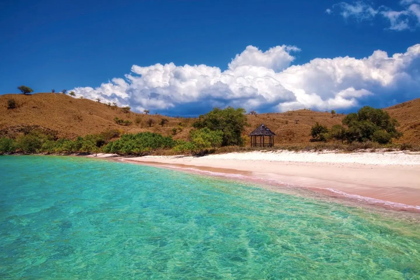 Komodo & Flores zum Kennenlernen (Gruppenreise) LANDSCAPE