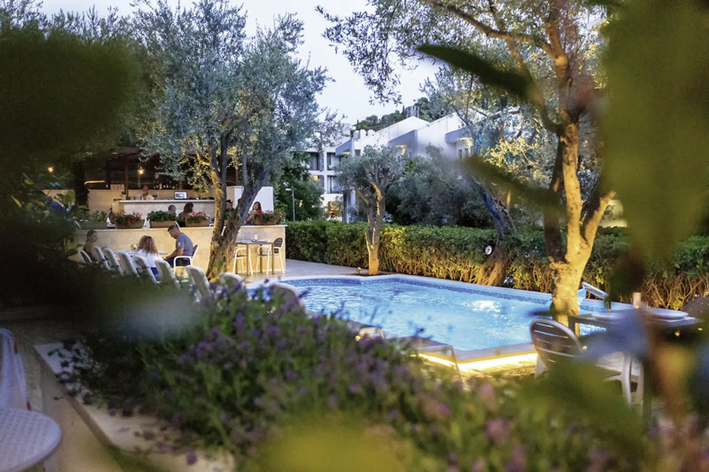 Harmony OUTDOOR_POOL