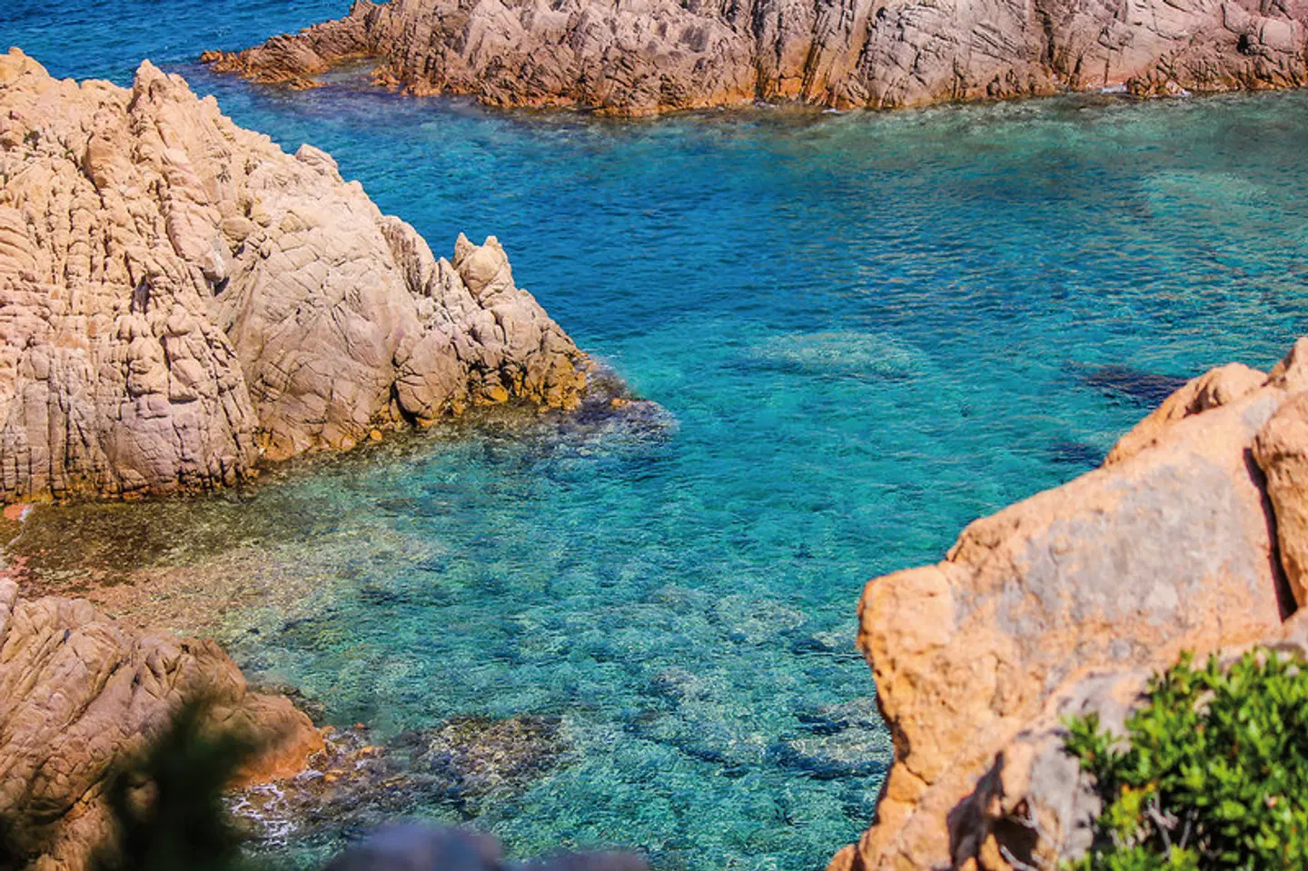 Hotel Costa Paradiso Tiere