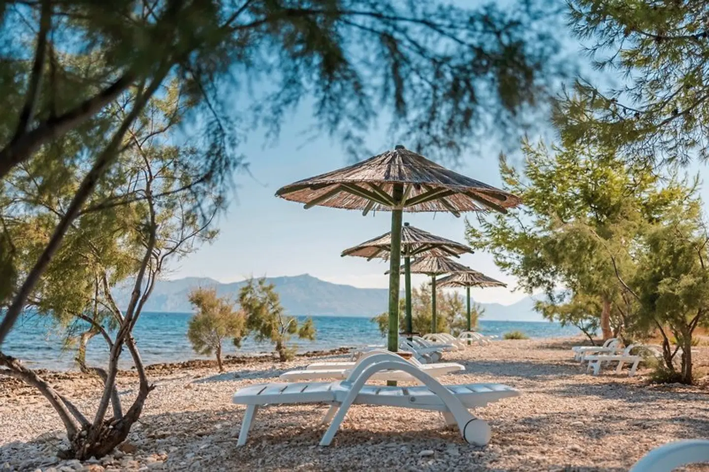 Watermann Beach Village Camp & Glamping GARDEN