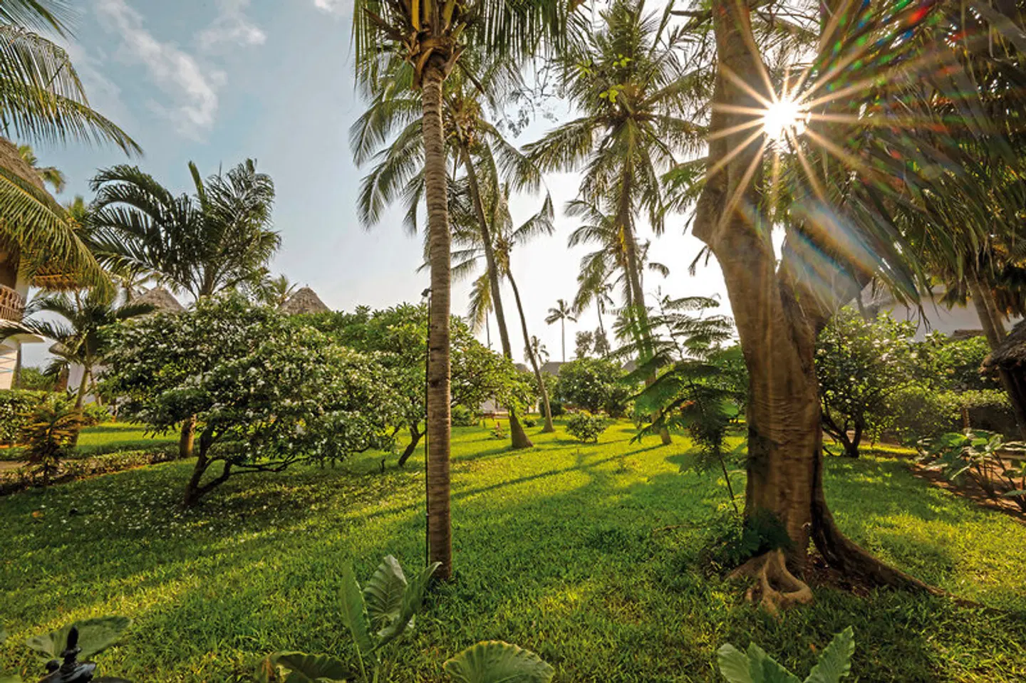 Nungwi Beach Resort by Turaco GARDEN