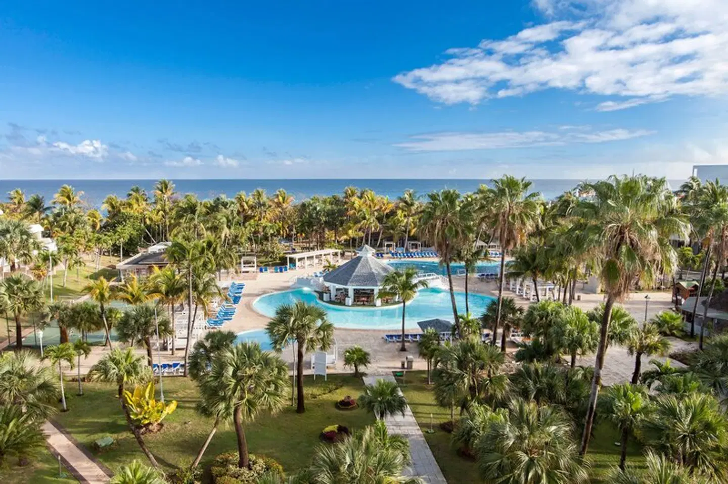 Sol Palmeras EXTERIOR