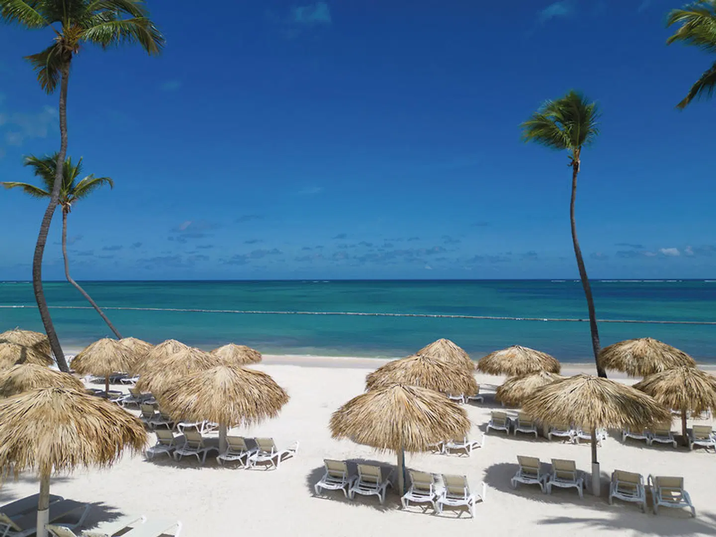 Sunscape Coco Punta Cana BEACH