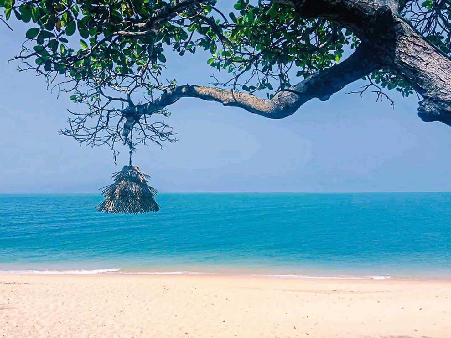 Saree Samui BEACH