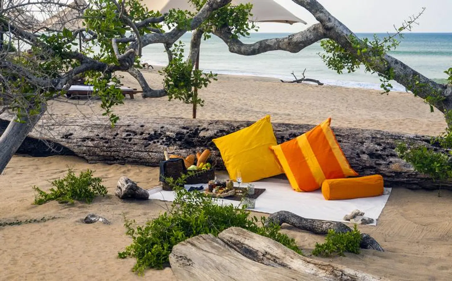 Uga Jungle Beach BEACH